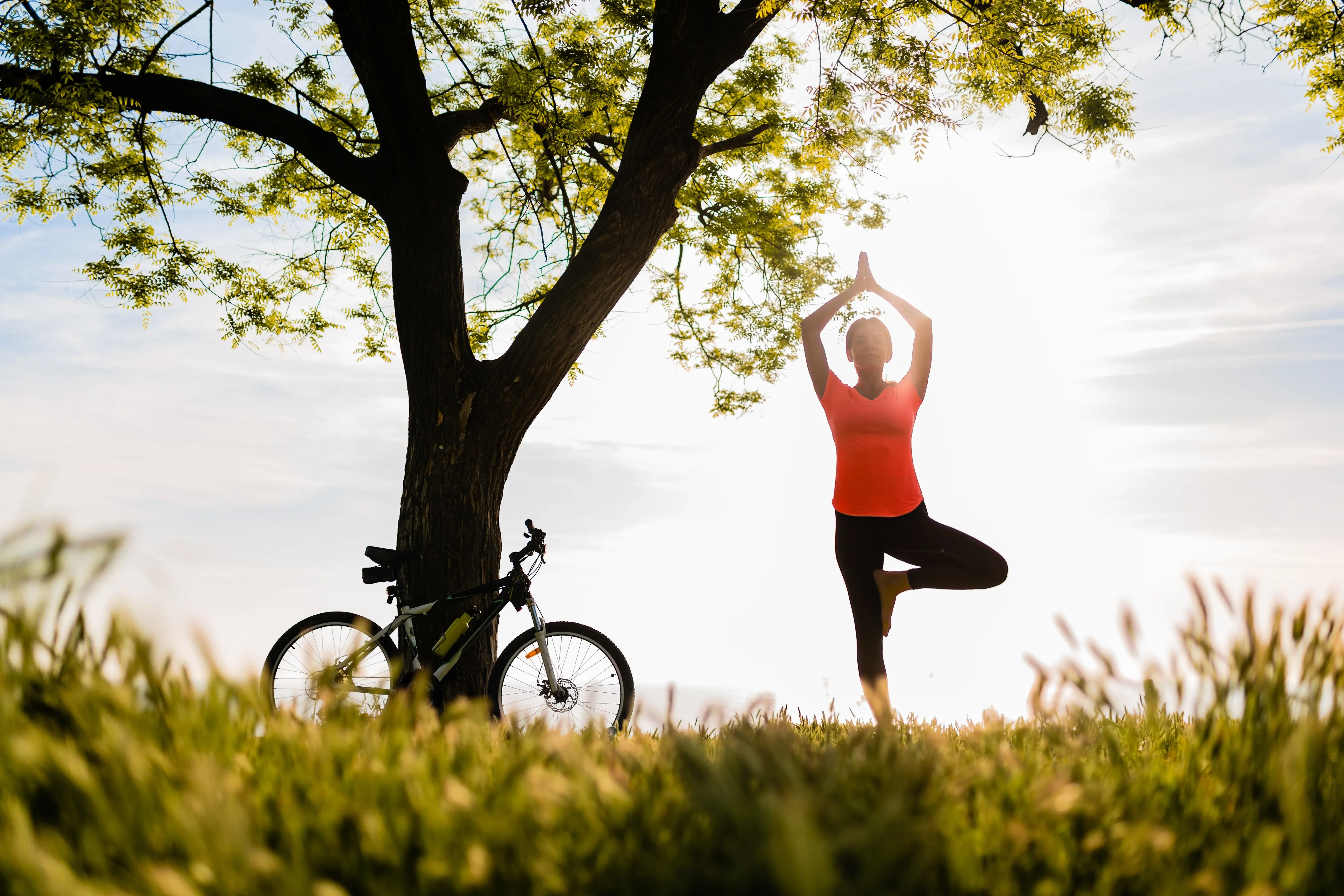 Wheel of Time Healing energy session
